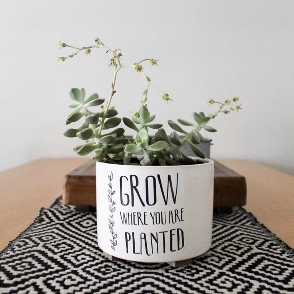 Target | Pot | Grow Where You Are Planted
